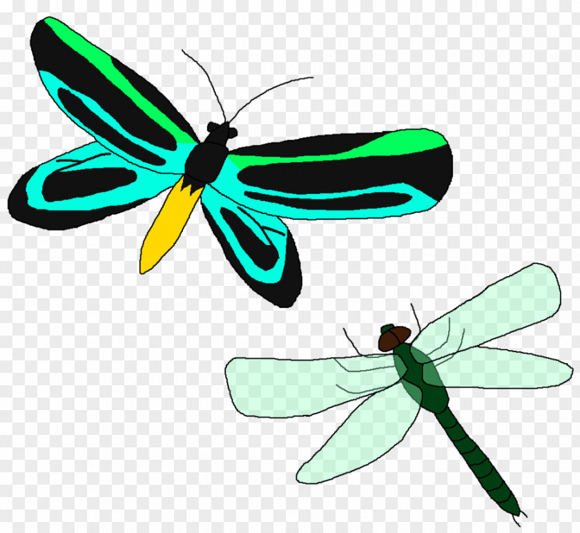 Butterfly Wing Propeller Insect Clip Art PNG