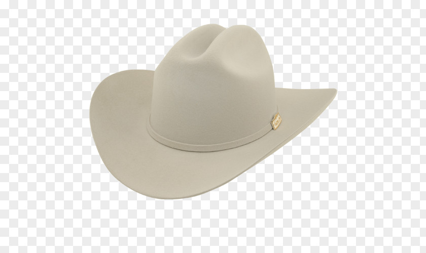 Hat Stetson 6X Skyline Fur Felt Cowboy PNG