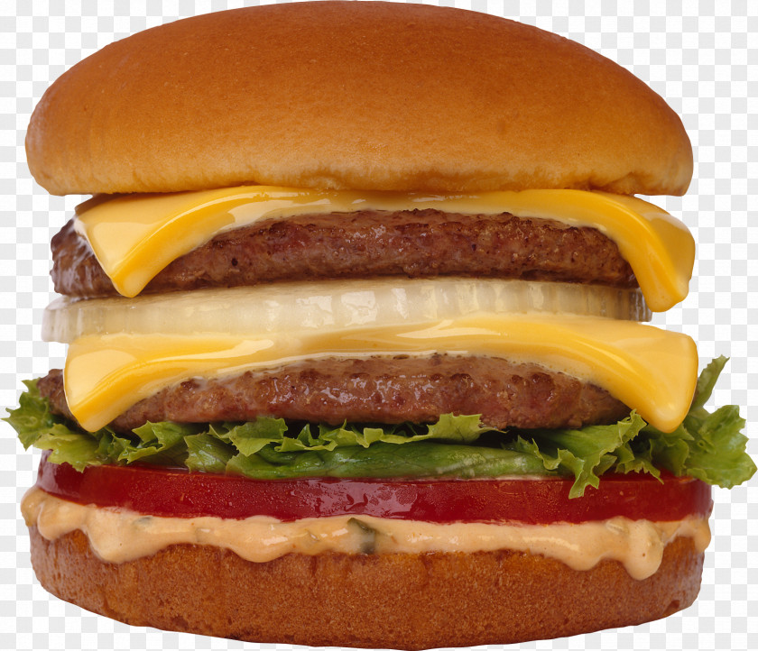 Hot Dog Hamburger Fast Food Cheeseburger French Fries PNG