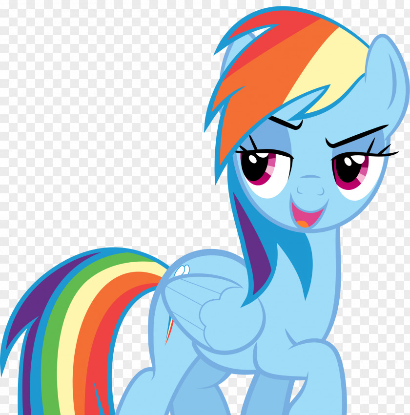 Rainbow Dash Pinkie Pie Rarity Twilight Sparkle Pony PNG