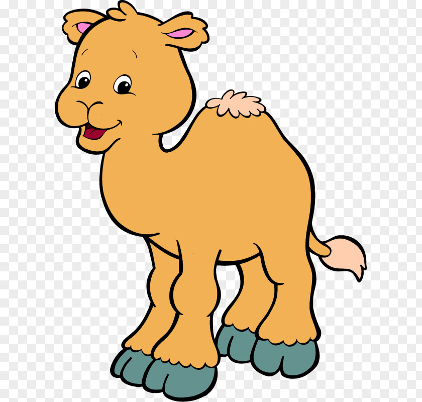 Camel Desktop Wallpaper Puppy Clip Art PNG