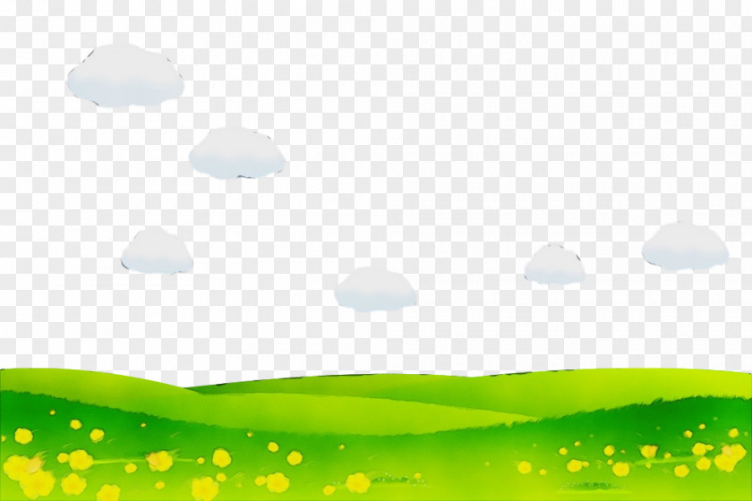 Leaf Meadow Green Water Nature Daytime Yellow PNG