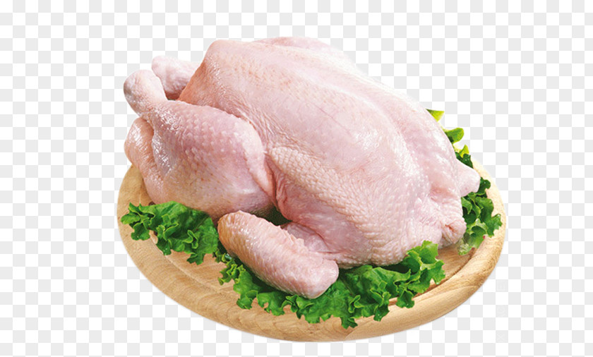 Meat Broiler Bird Chicken Anser PNG