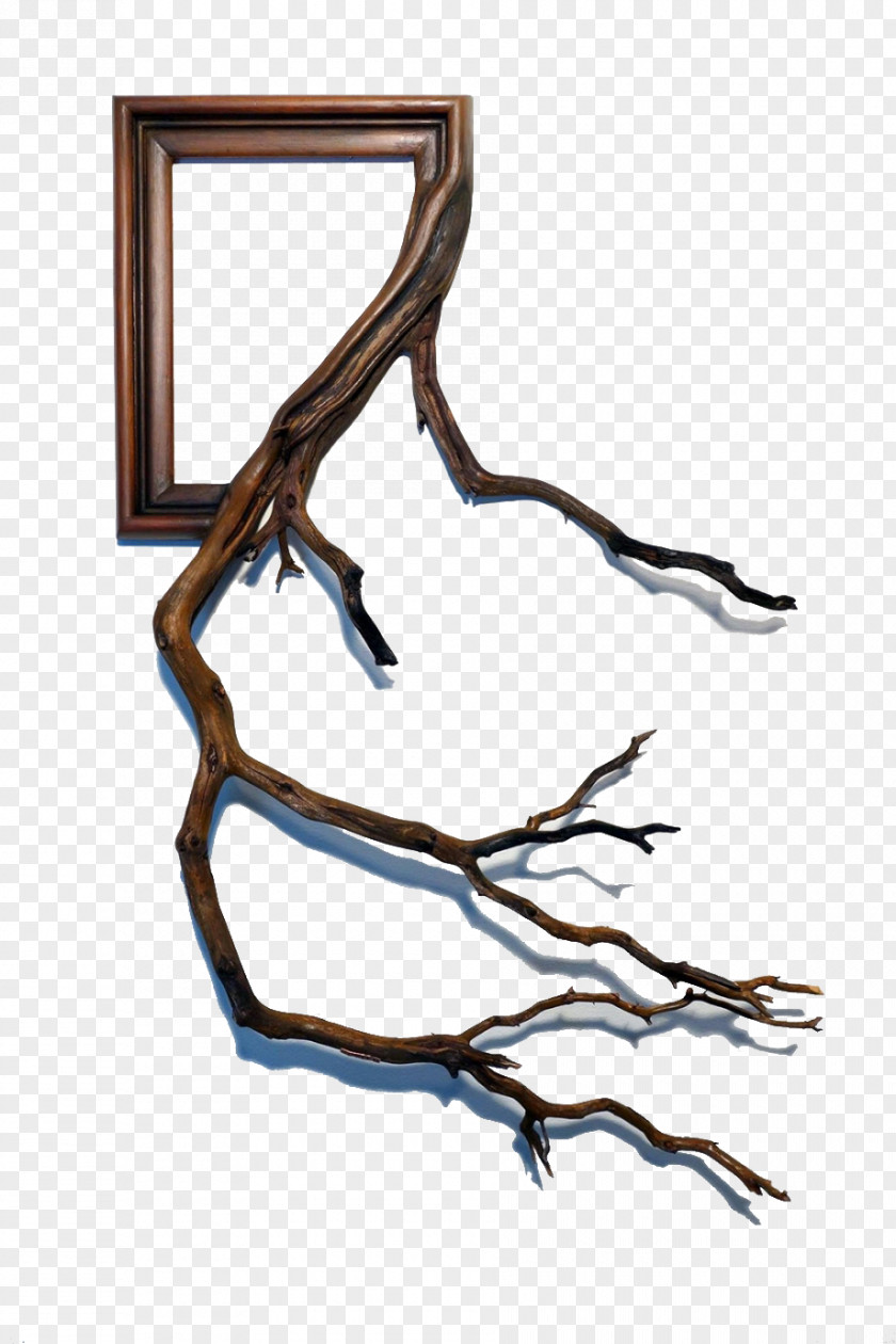 Rattan Wood Frame Branch Picture Tree Furniture Twig PNG
