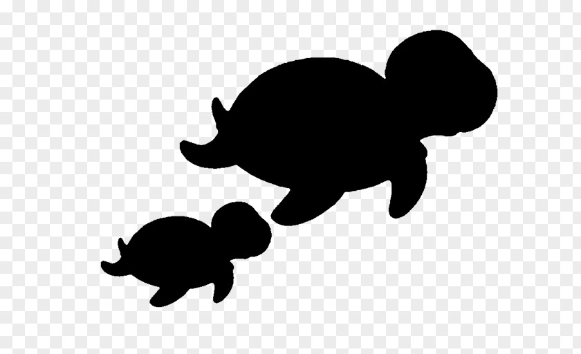 Tortoise Sea Turtle Clip Art Fauna PNG