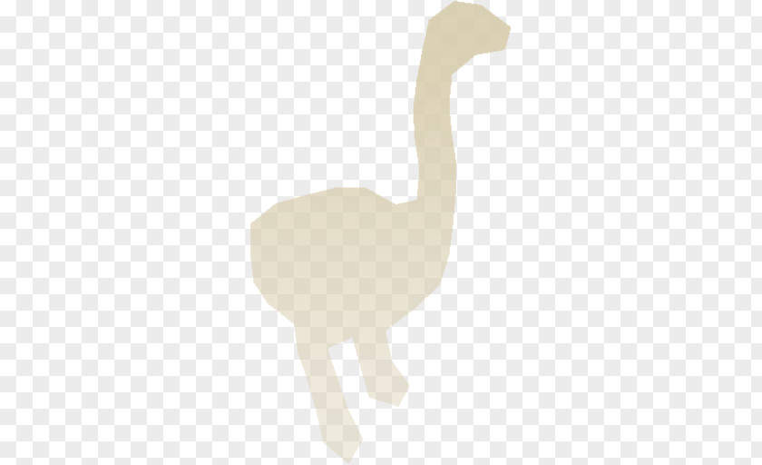 Camel Common Ostrich Terrestrial Animal Neck Mammal PNG