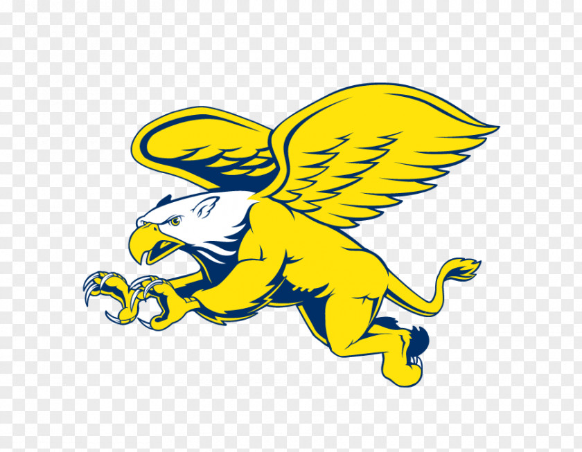 Cartoon Flying Eagle Vector Canisius Golden Griffins Womens Basketball College Logo PNG