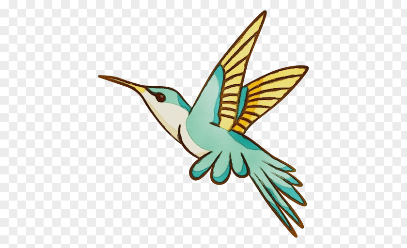 Logo Pollinator Hummingbird PNG