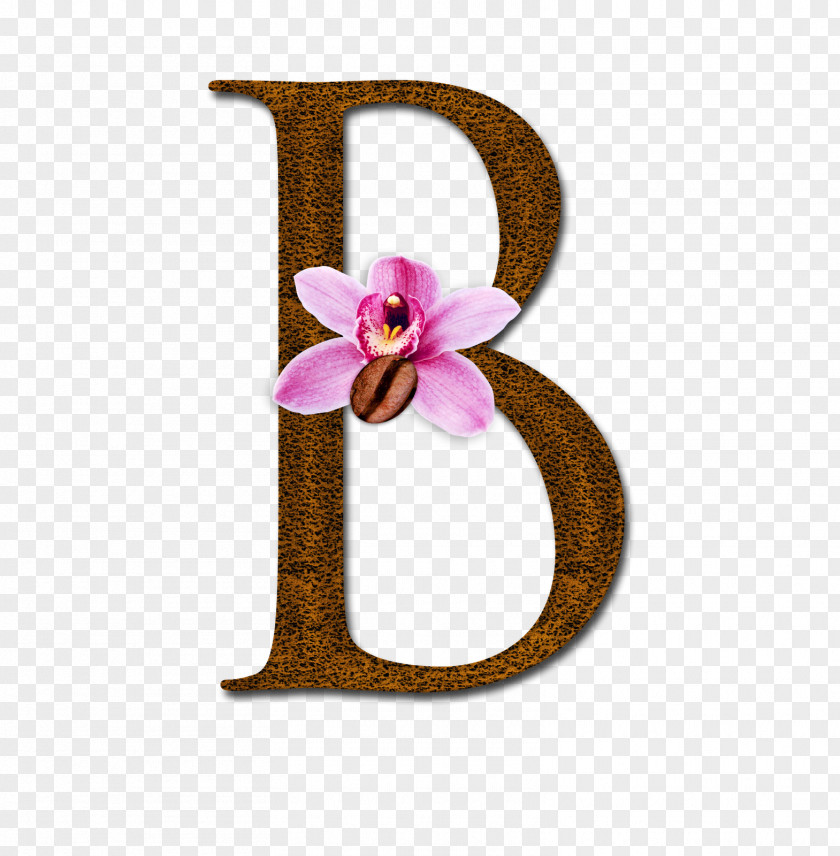 B Alphabet Letter Ch I PNG