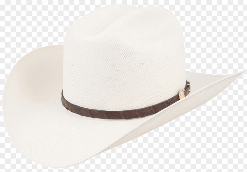 Hat Product Design PNG