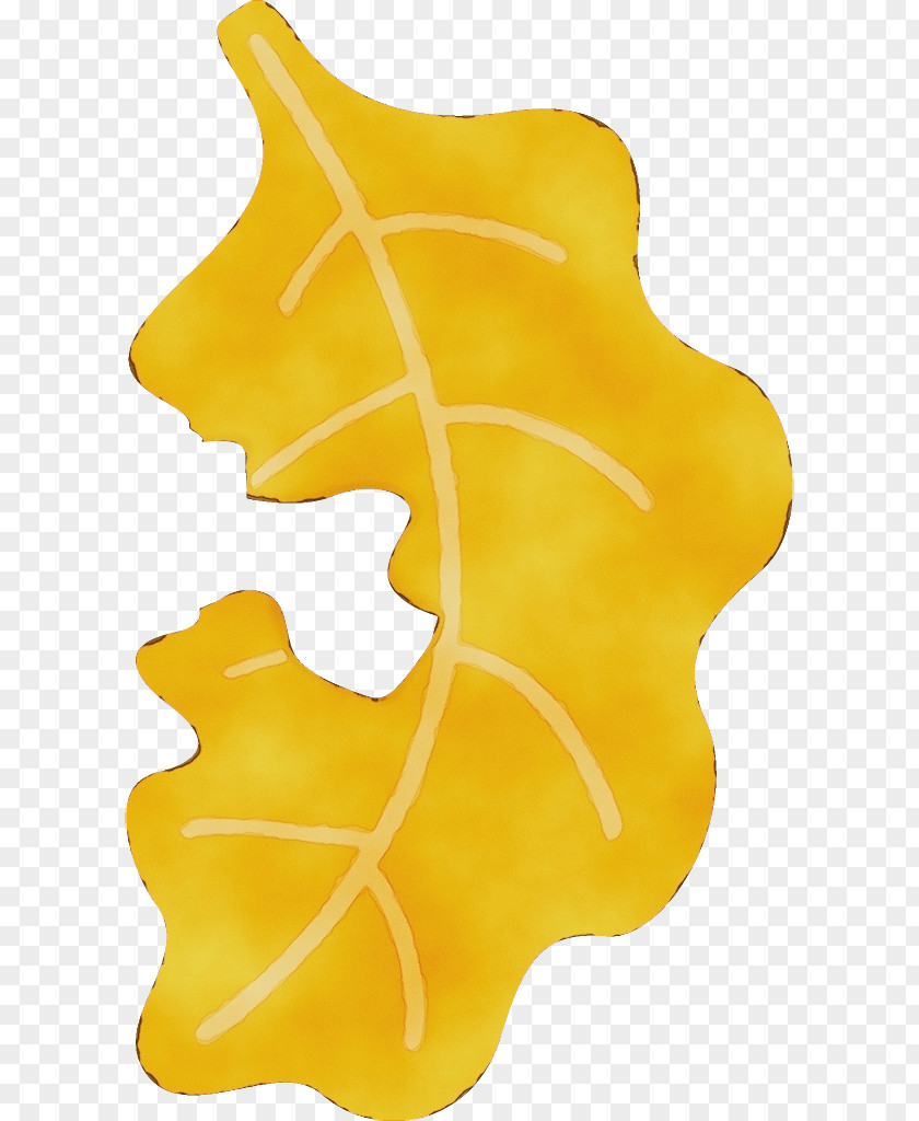 Leaf Yellow PNG