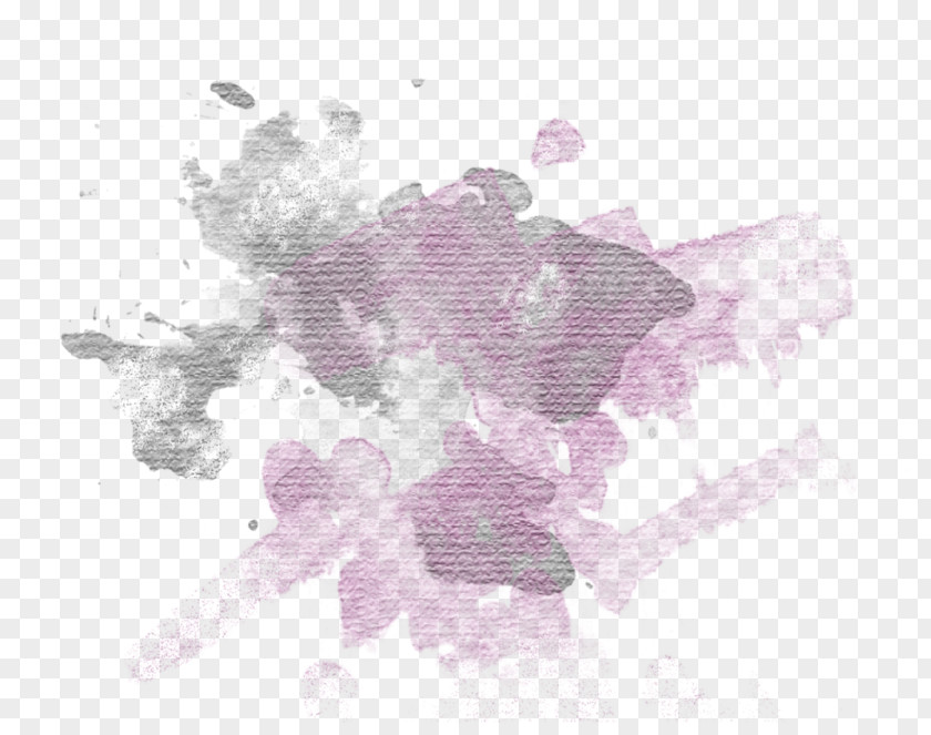 Plant Flower Lavender PNG