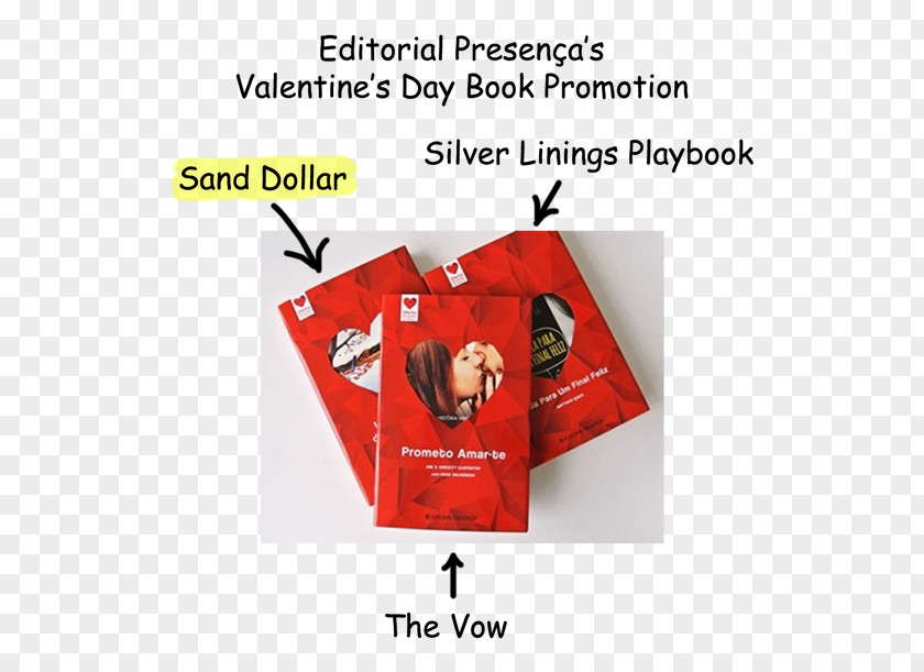 Sand Dollar Paper Brand Font PNG