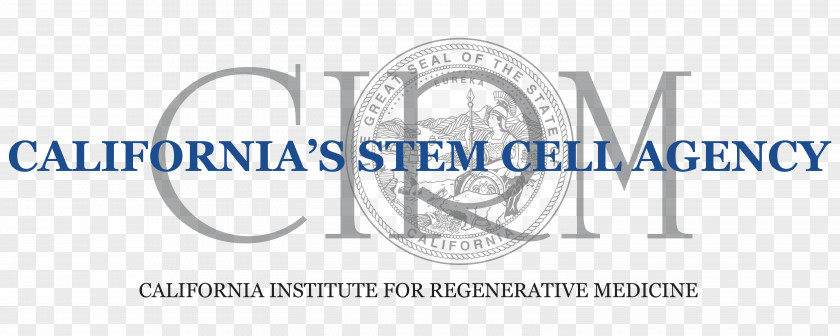 Stem Cell Paper Logo Line Font Angle PNG