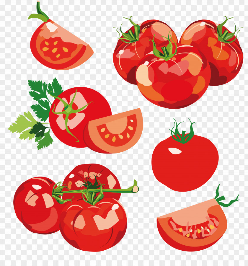 Tomato Vegetable Onion Chili Pepper Food Fruit PNG