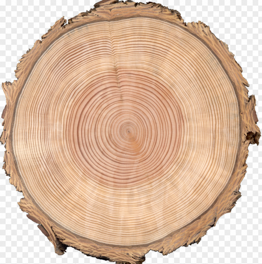 Walnut Douglas-Style Wood Veneer Cutting Industry PNG