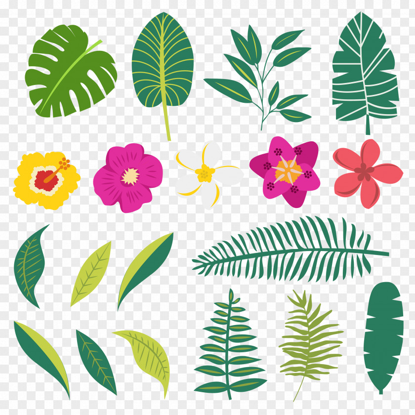 Bunga Plants Image Leaf Design PNG