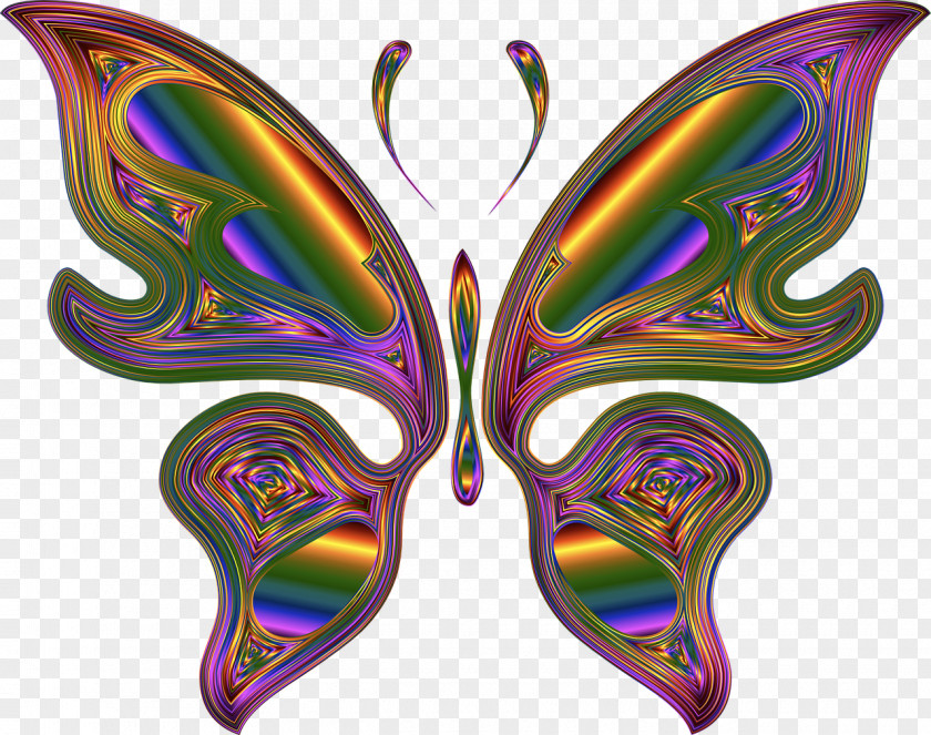 Butterfly Rainbow Clip Art Drawing Vector Graphics Image PNG