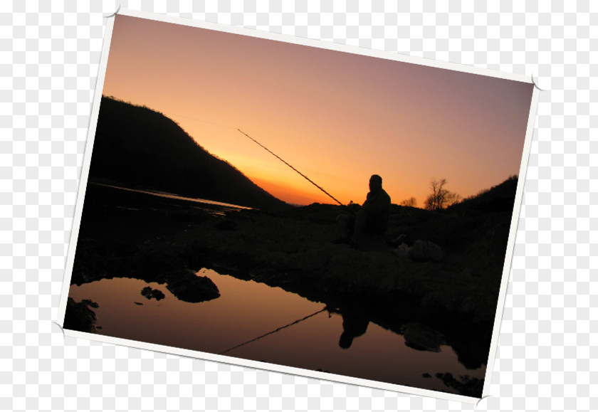 Fishing Mahseer Stock Photography Silhouette PNG