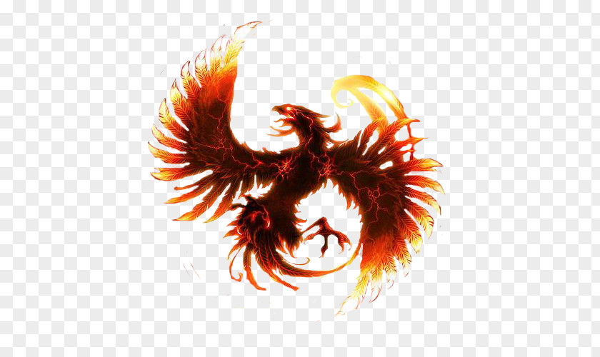 Phoenix Android Desktop Wallpaper PNG