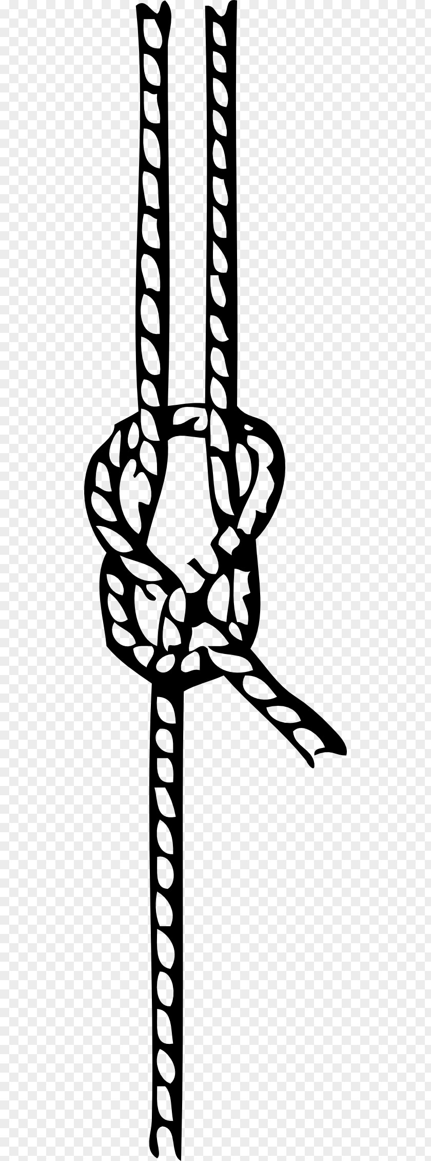 Rope Knot Clip Art PNG