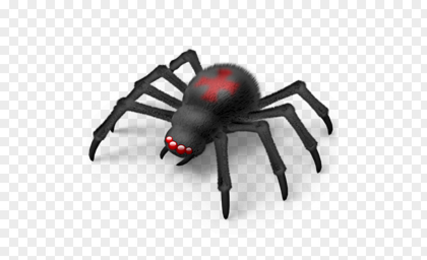 Spider Download Image PNG