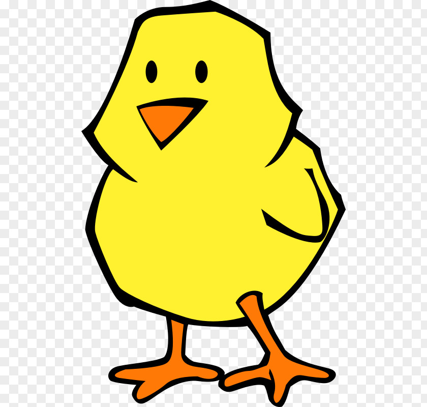 Chicken Kifaranga Clip Art PNG