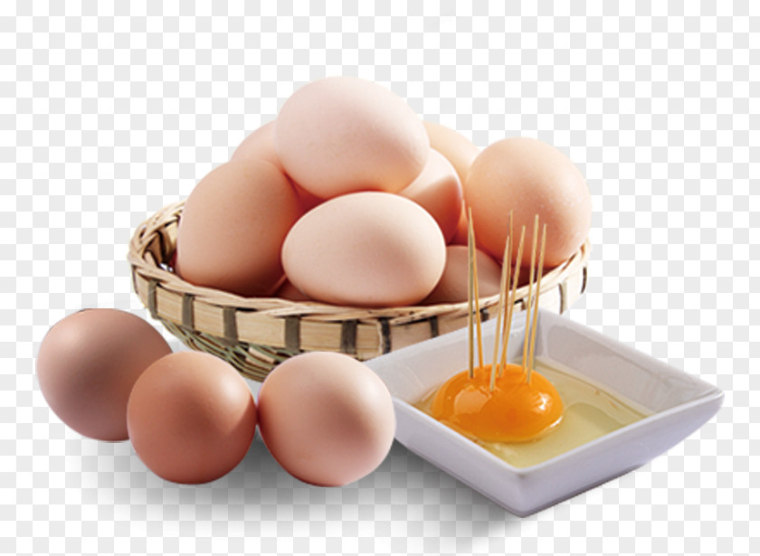 Egg Chicken PNG