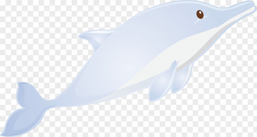 Fish Fin Cetacea Dolphin PNG