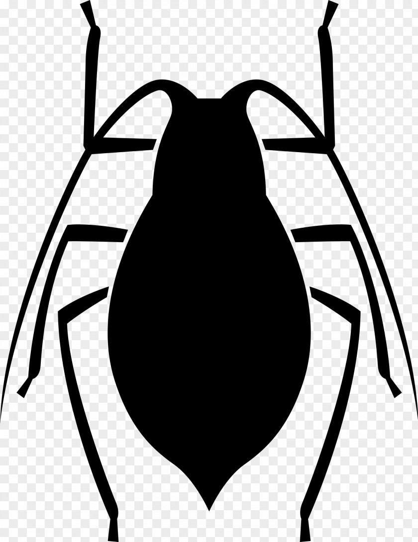 Ladybug Insect Clip Art PNG