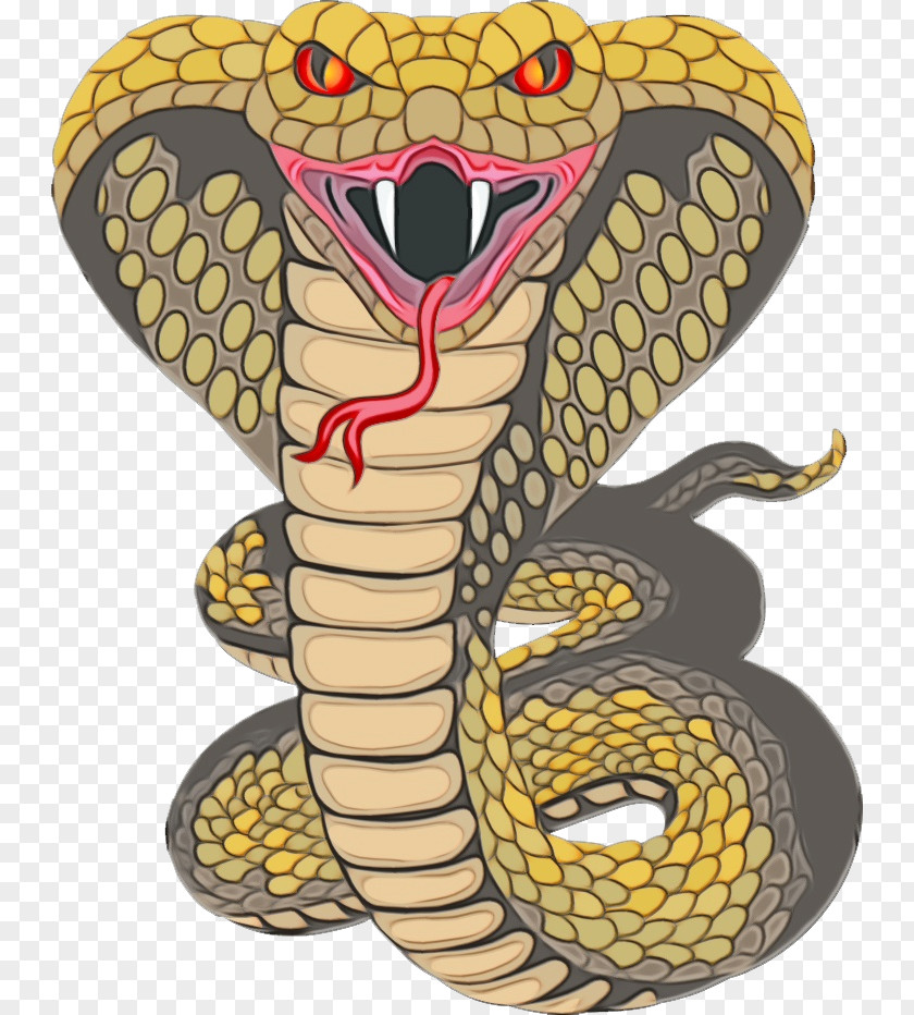 Viper Animal Figure Snake Cartoon PNG