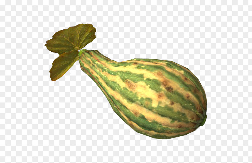Watermelon Gourd The Elder Scrolls V: Skyrim – Dragonborn Calabaza Vegetable PNG