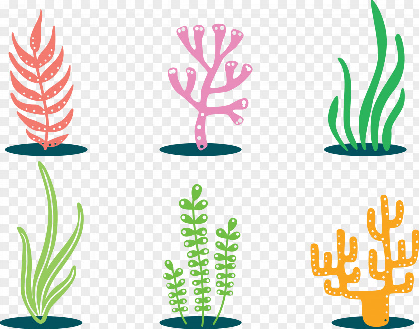 Colorful Plants Coral Clip Art PNG
