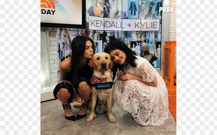 Dog Kendall And Kylie Breed 3 Novembre 1995 Fashion PNG