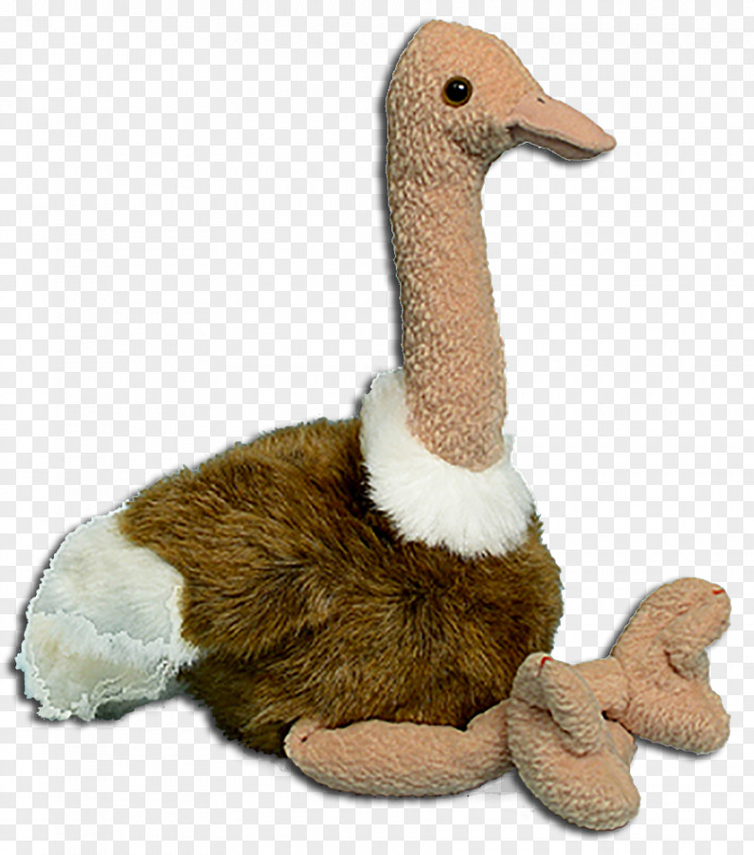 Duck Bird Stuffed Animals & Cuddly Toys Common Ostrich Ty Inc. PNG