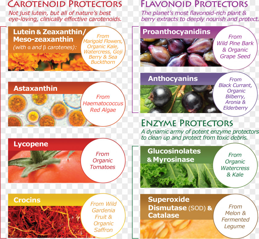 Eye Superfood Protection Health Retina PNG