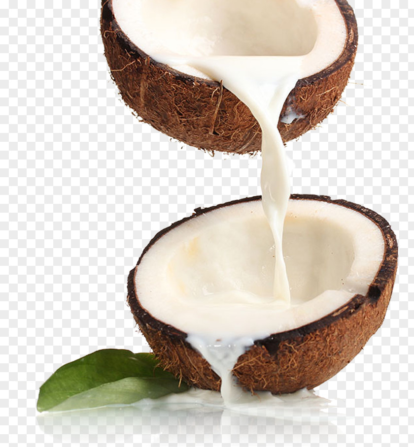 Milk Coconut Plant Cream PNG