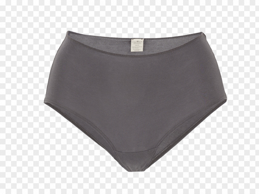Panties. Swim Briefs Underpants Waist Swimsuit PNG