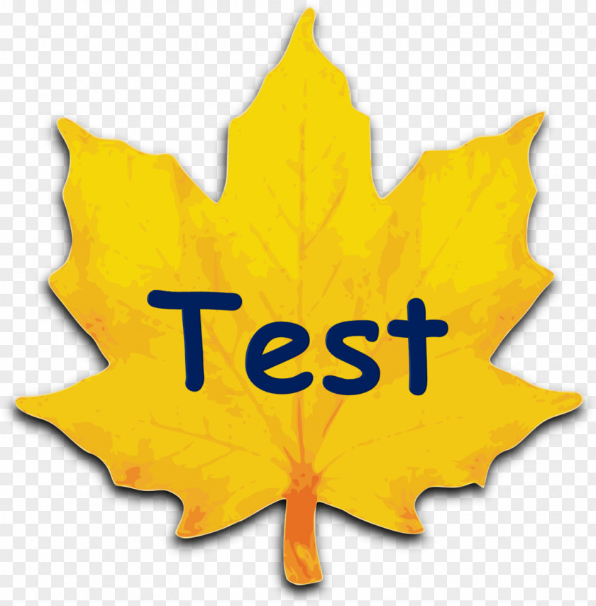 Achievement Test Clip Art Maple Leaf Sugar Red Autumn Color PNG