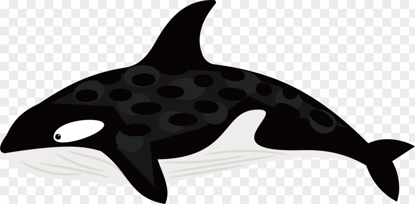 Black And White Whale Vector Dolphin PNG