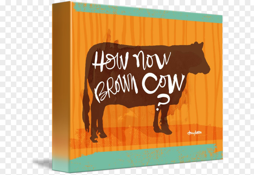 Brown Cow Poster Stacy Kron Photography Art Imagekind Graphic Design PNG