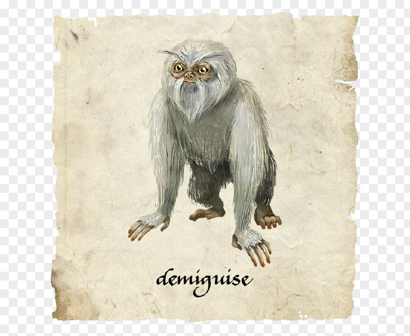 Cartoon White Monkey Fantastic Beasts And Where To Find Them Jacob Kowalski Apes Monkeys Magical Creatures In Harry Potter PNG