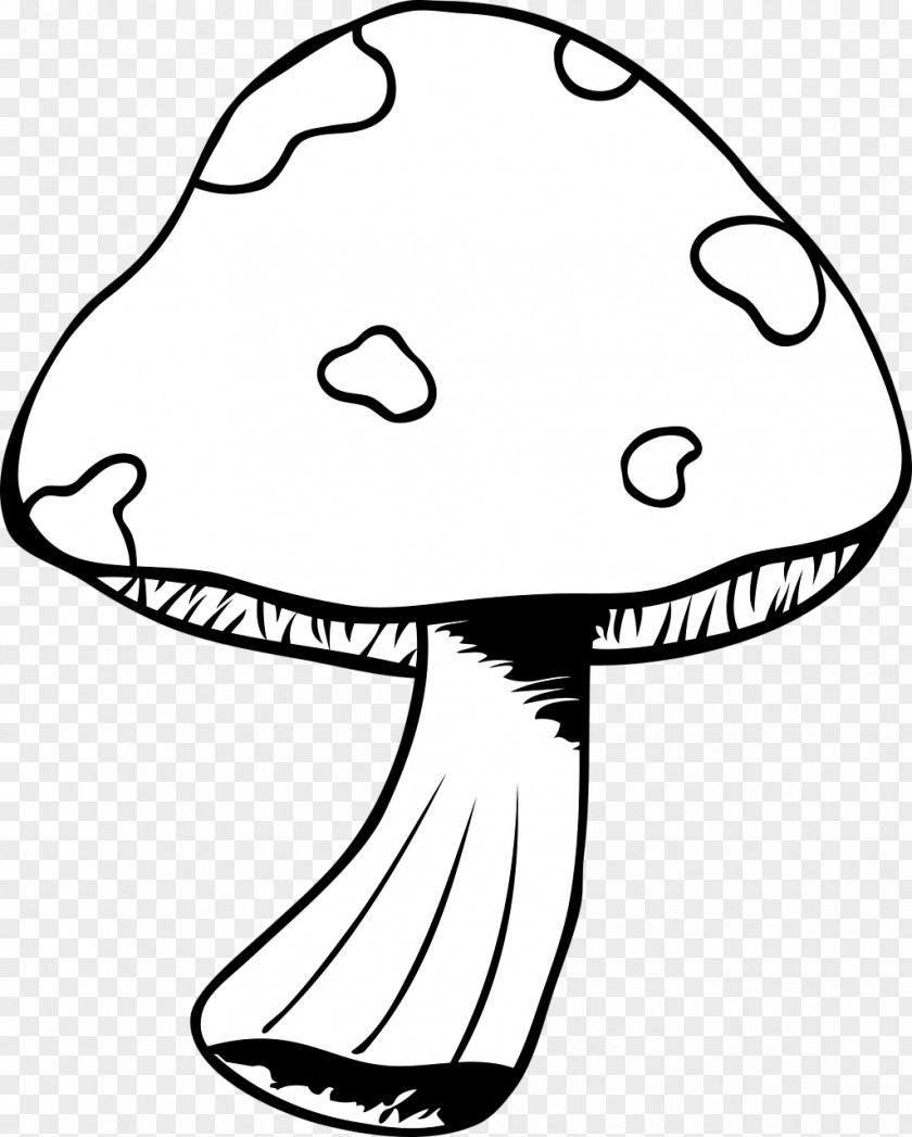 Mushroom Cartoon Clip Art Image Drawing Vector Graphics PNG