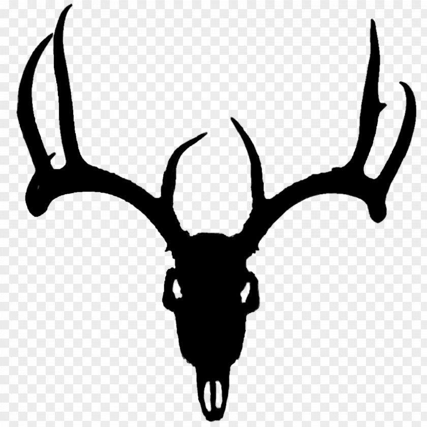Red Deer White-tailed Antler Clip Art PNG