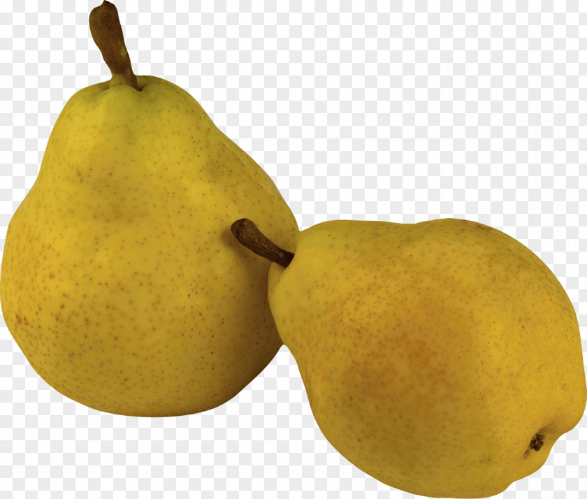 Ripe Pear Image Fruit Salad Computer File PNG