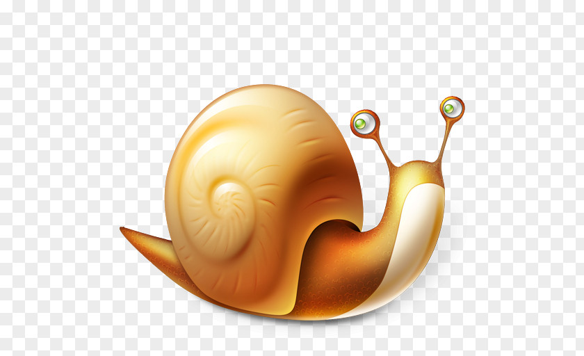 Snails Snail Download Icon PNG
