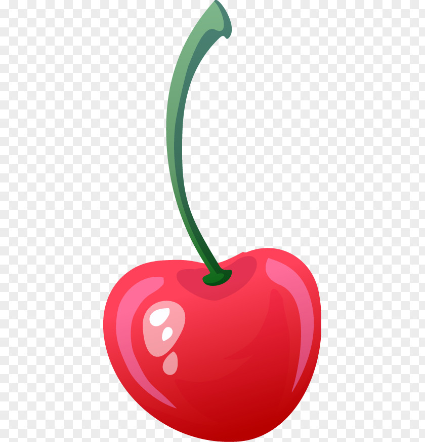 Beautiful Cherry Fruit Drawing PNG