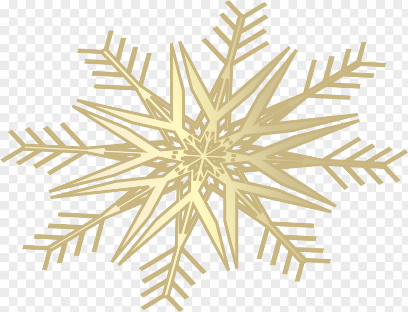 Cartoon Golden Snowflake Schema PNG