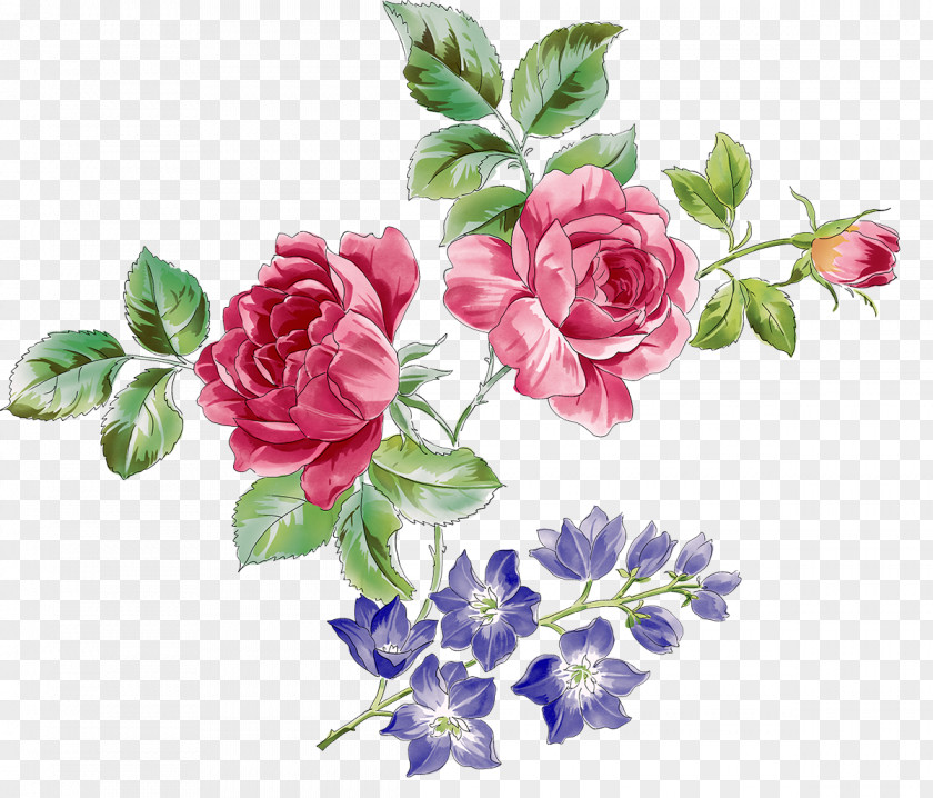 Plum Rosa Chinensis Beach Rose Flower Clip Art PNG