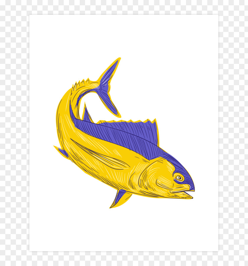 Albacore Yellowfin Tuna Drawing Atlantic Bluefin PNG